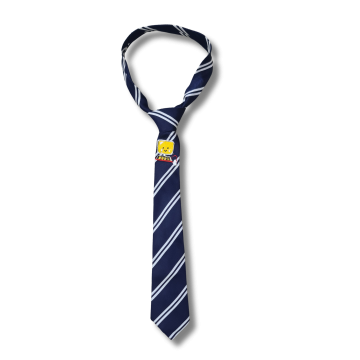 High School Tie